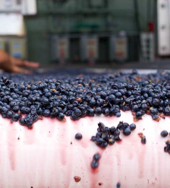 Winemaking