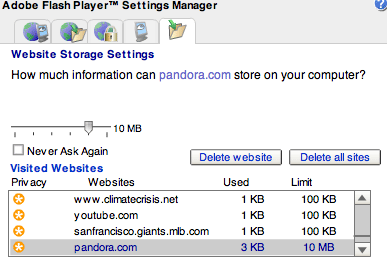 Adobe Flash storage