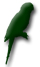 Parakey logo