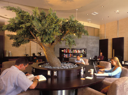Bonsai tree