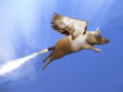 flying pig