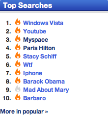 Technorati top searches WTF