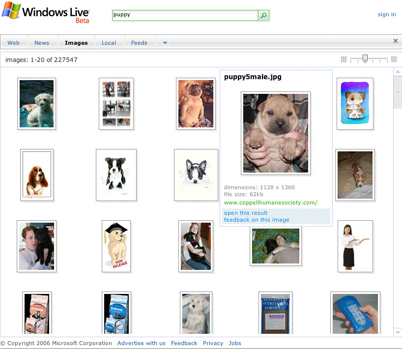 Windows Live Image Search