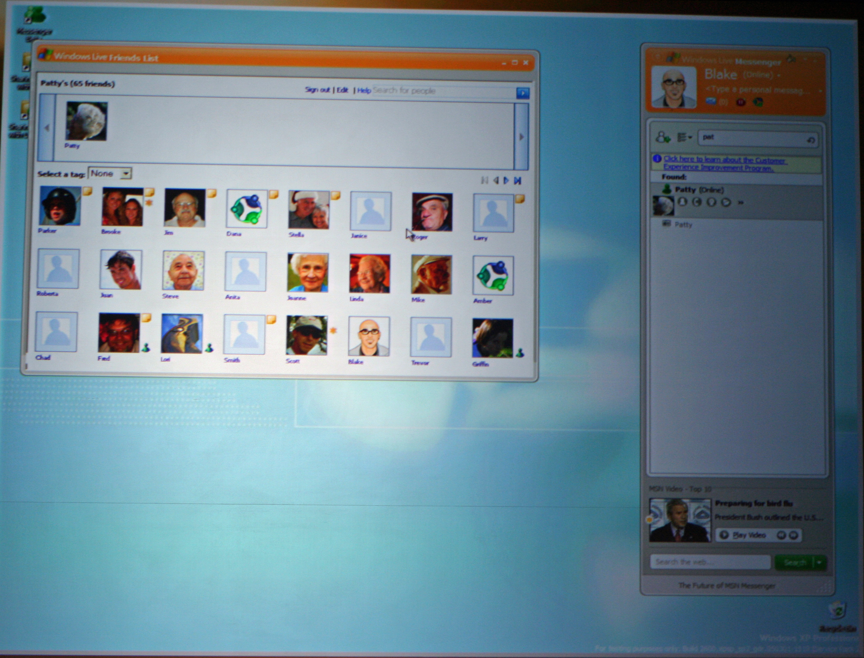 Windows Live Messenger friends list